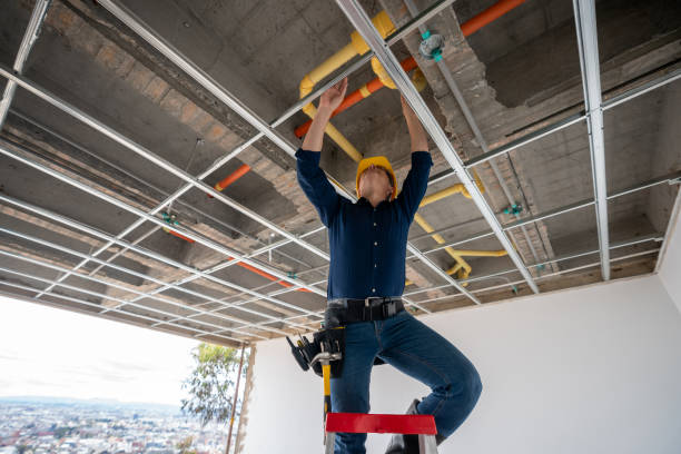 Best Clogged Drain Plumber  in Parkers Prairie, MN