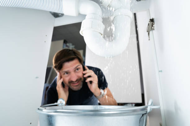 Best Water Softener Installation  in Parkers Prairie, MN