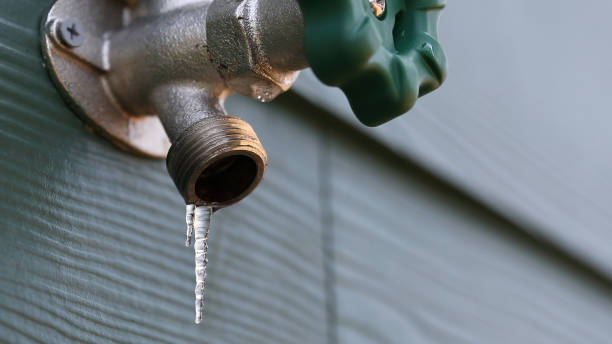 Best Plumbing Services Near Me  in Parkers Prairie, MN